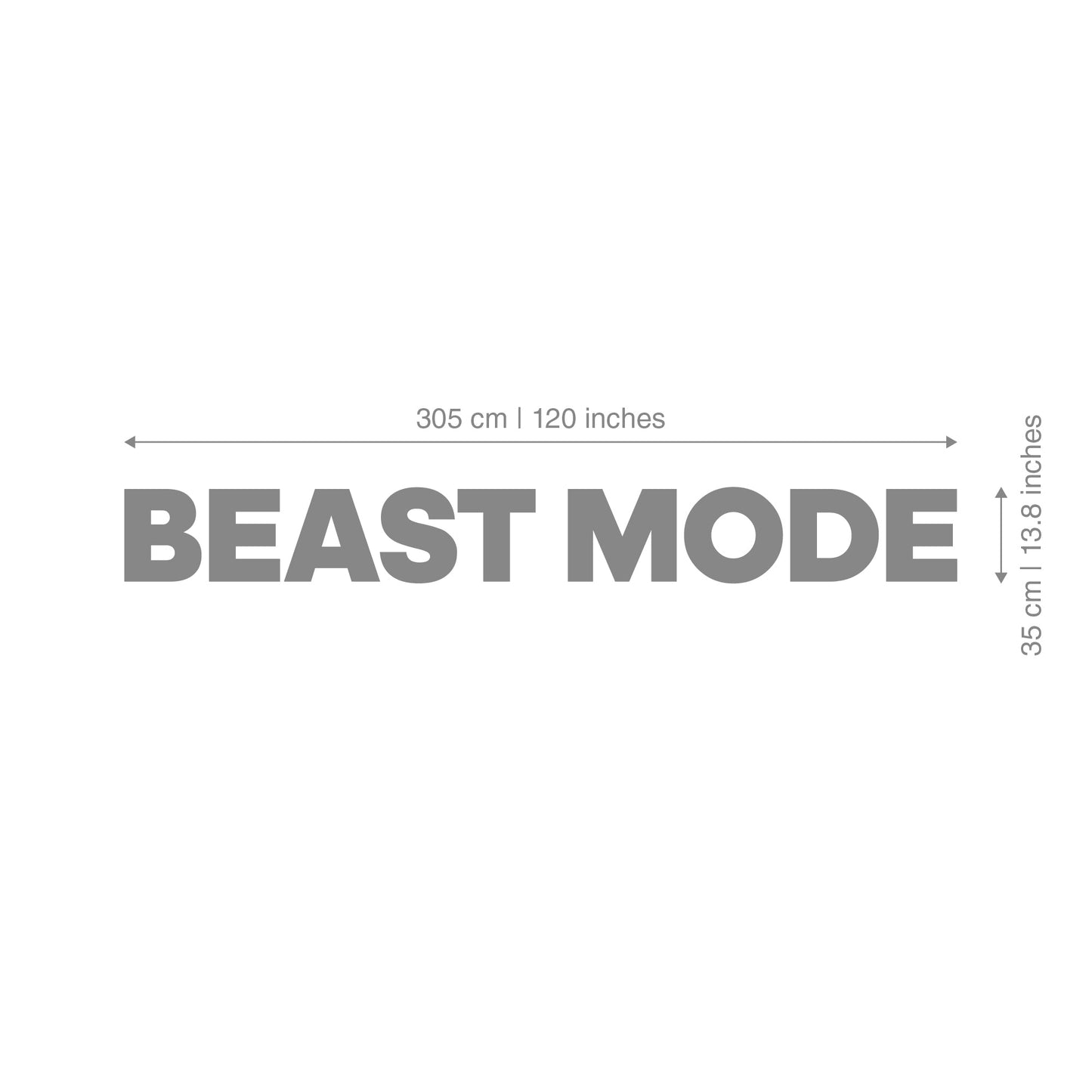 Beast Mode Interior Gym Decoration